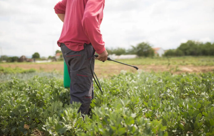 Agricoli
