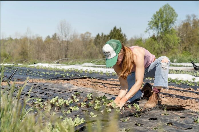 agricoli