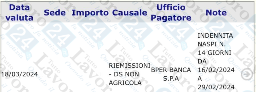 riemissione naspi
