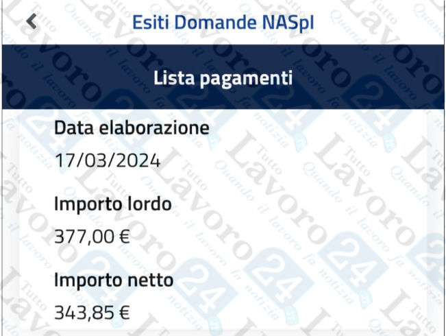 lavorazioni naspi