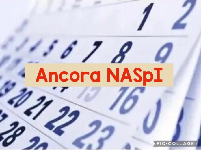 Naspi