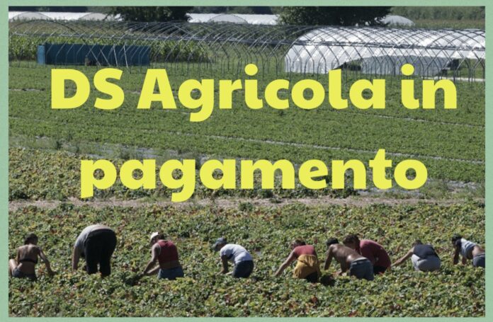 Agricoli
