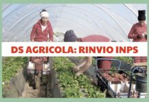 AGRICOLI
