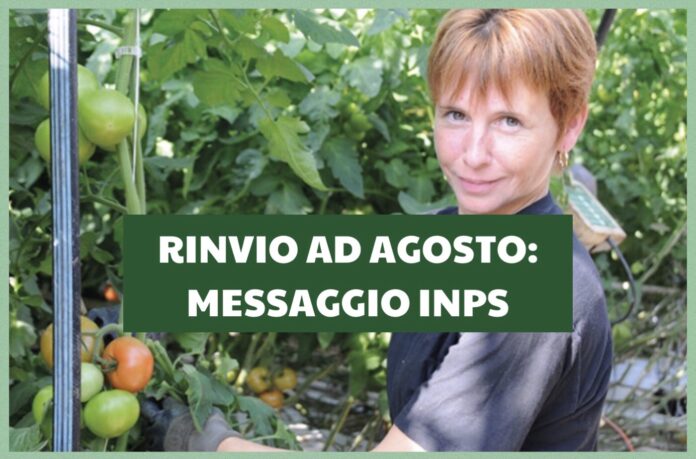AGRICOLI