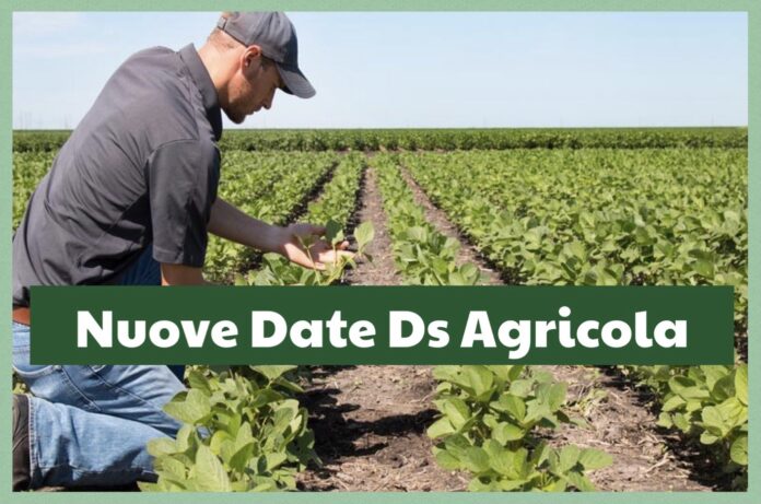 Agricola
