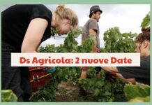 Agricola