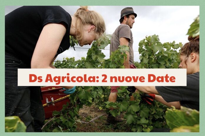 Agricola