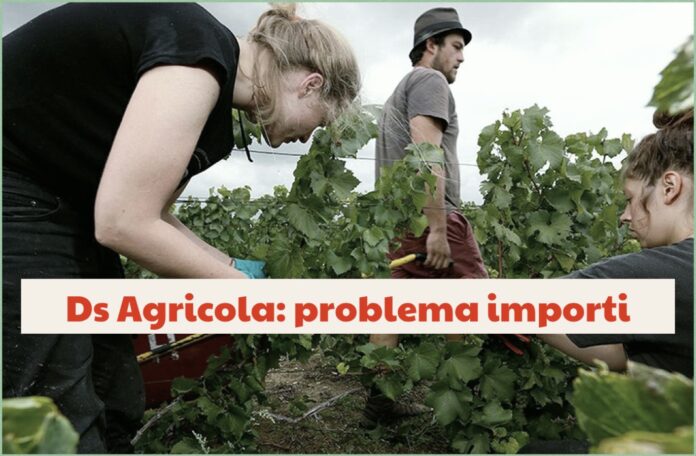Agricoli