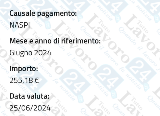 naspi