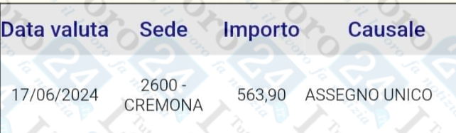 assegno unico