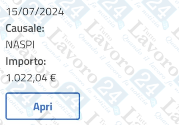 naspi luglio