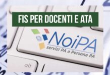 Noipa fis