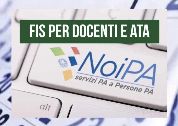 Noipa fis