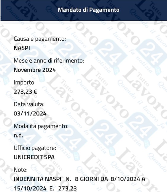 naspi novembre