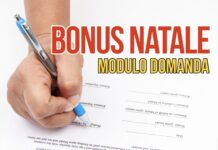 Modulo Bonus Natale 2024: come usarlo per avere 100€ in più