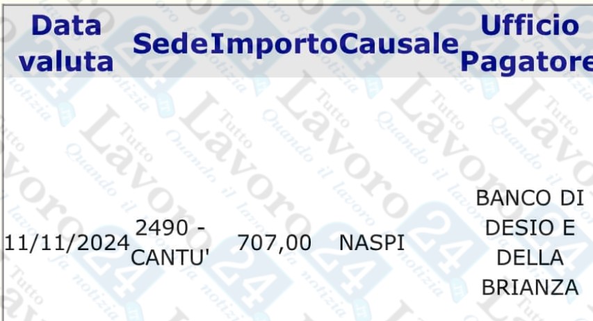 naspi novembre