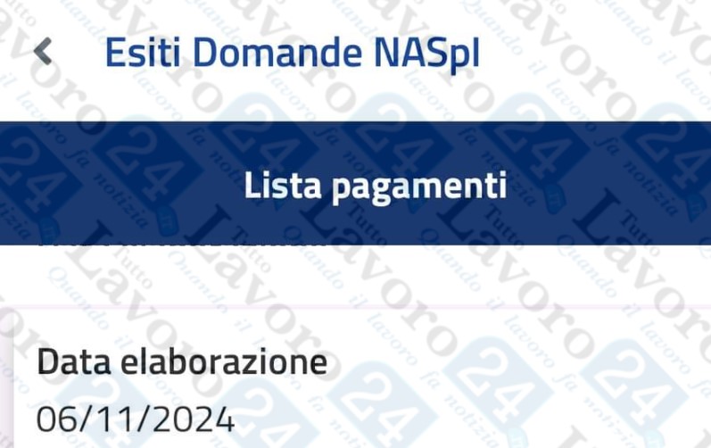 lavorazioni naspi novembre