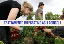 Operai Agricoli: INPS Sta Pagando il Trattamento Integrativo. Doppio Accredito a Sorpresa