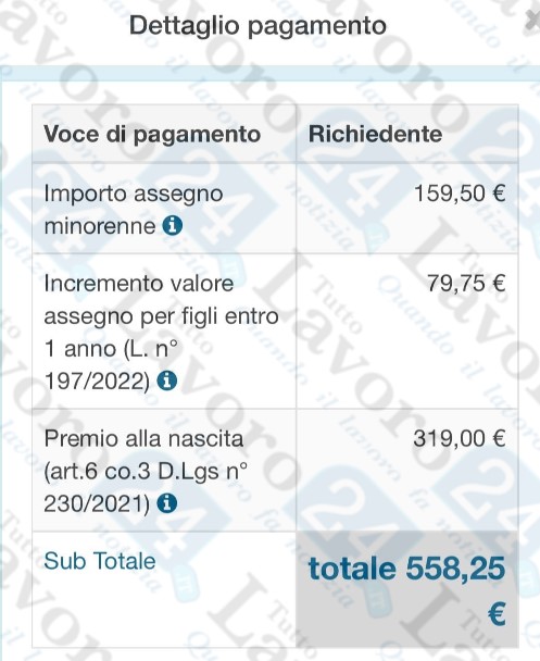 dettaglio pagamento assegno unico