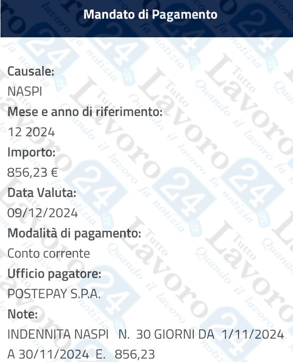 naspi dicembre