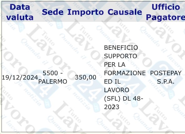 supporto formazione e lavoro dicembre