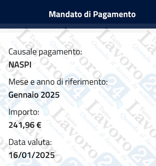 naspi gennaio