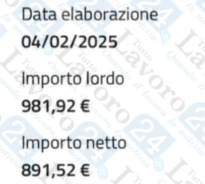 naspi lavorazioni febbraio