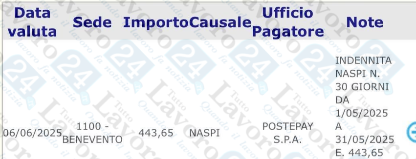 naspi 6 giugno