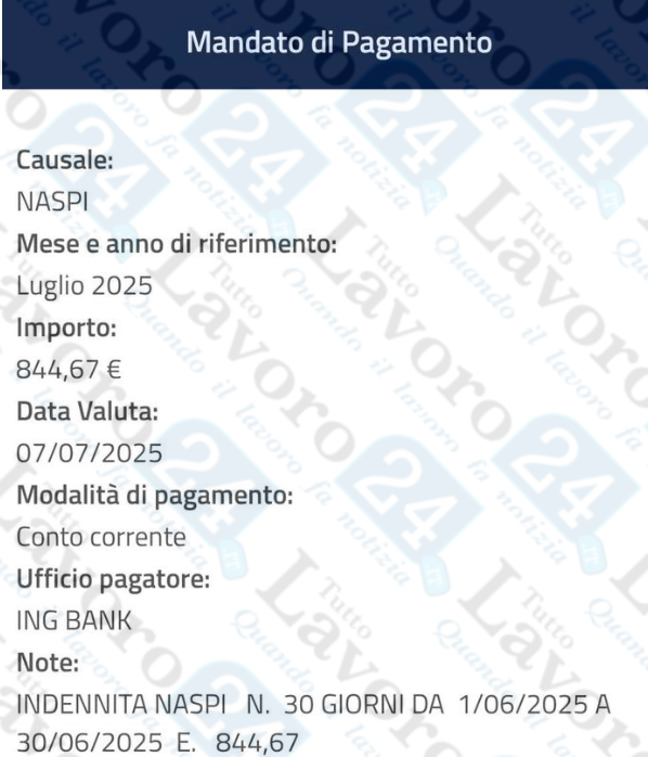 naspi luglio