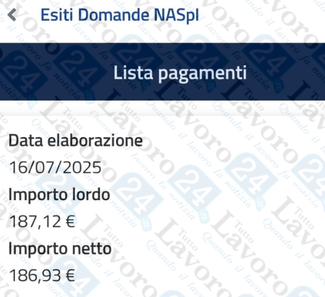 naspi lavorazioni