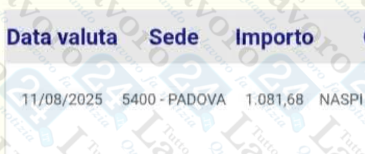 naspi agosto 2025