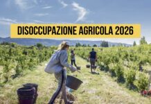 Disoccupazione Agricola, nel 2026 Può Superare i 1.400 Euro: Conferma INPS