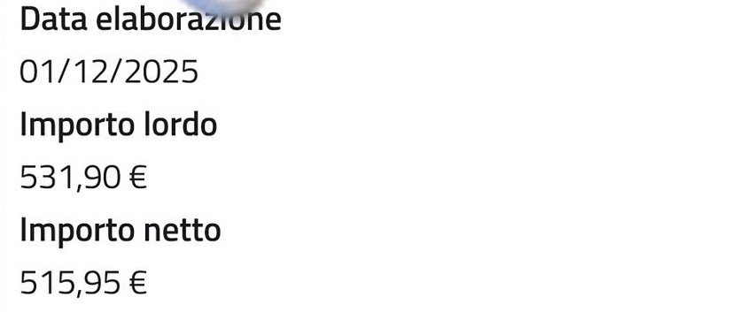 lavorazioni naspi dicembre