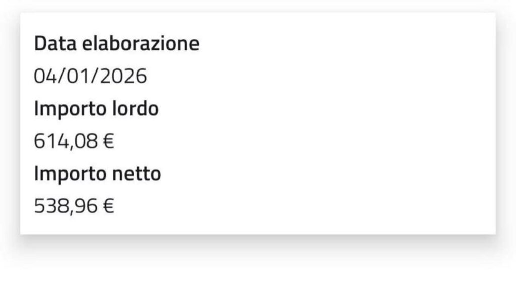 lavorazioni inps naspi