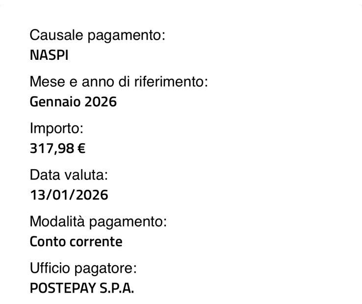 naspi gennaio