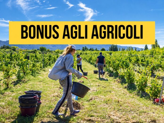 AGRICOLI BONUS